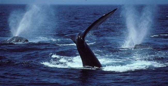 Marina Palms | Hibberdene