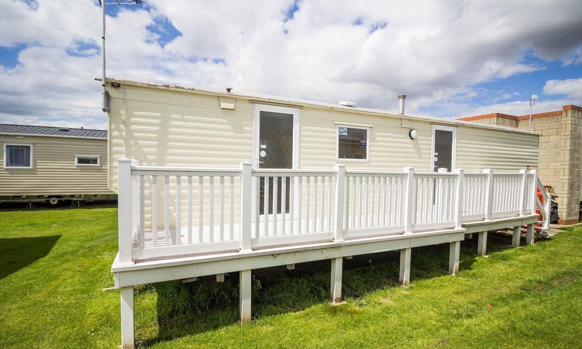 Conifers Walton The Naze | Walton on the Naze