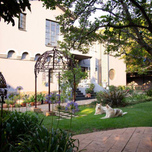 Ben Breakfast | Baileys Muckleneuk