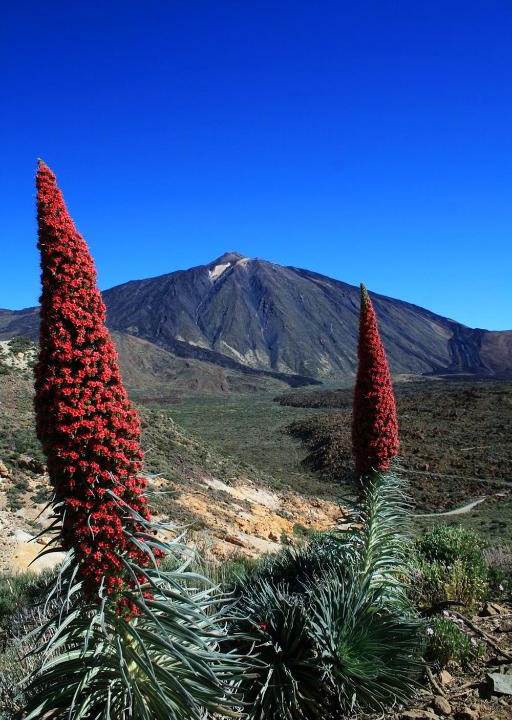 San Isidro | San Isidro