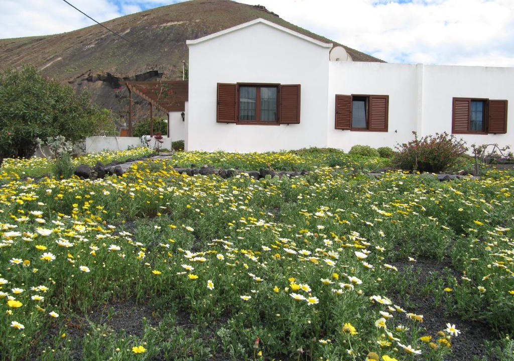 Tahiche Internet Garden | Tahiche