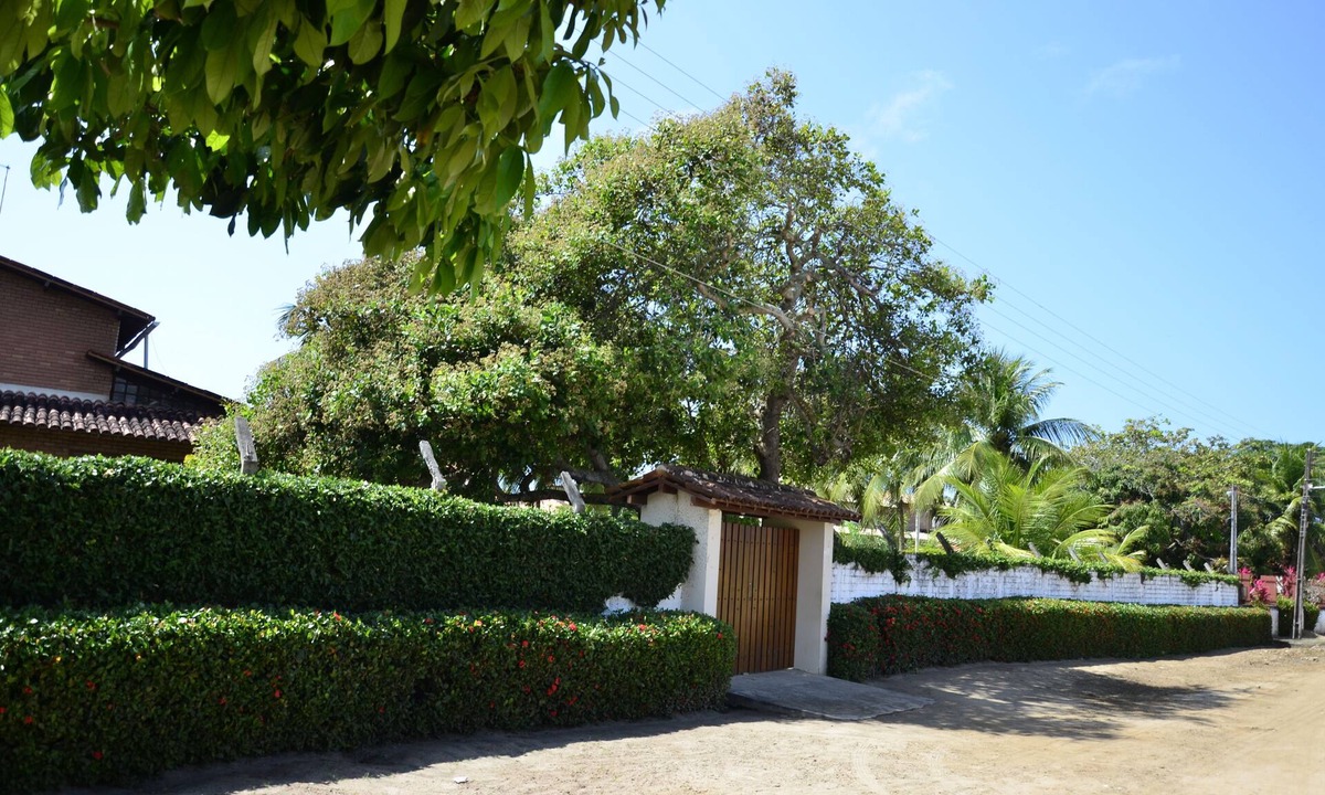 Barra De São Miguel | Brejo