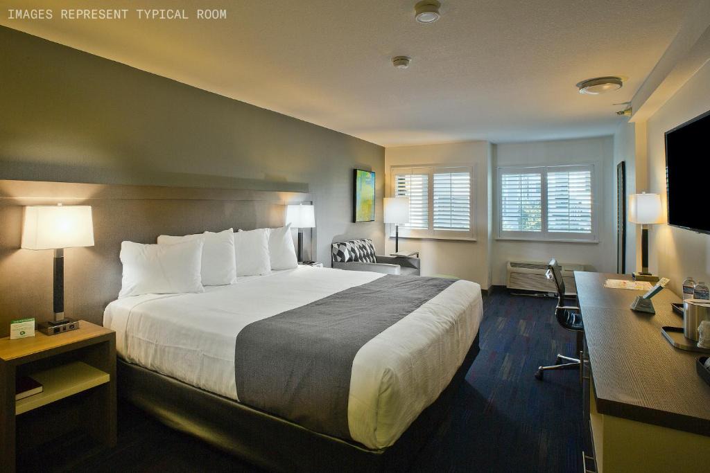 Crestview Business | Cuernavaca