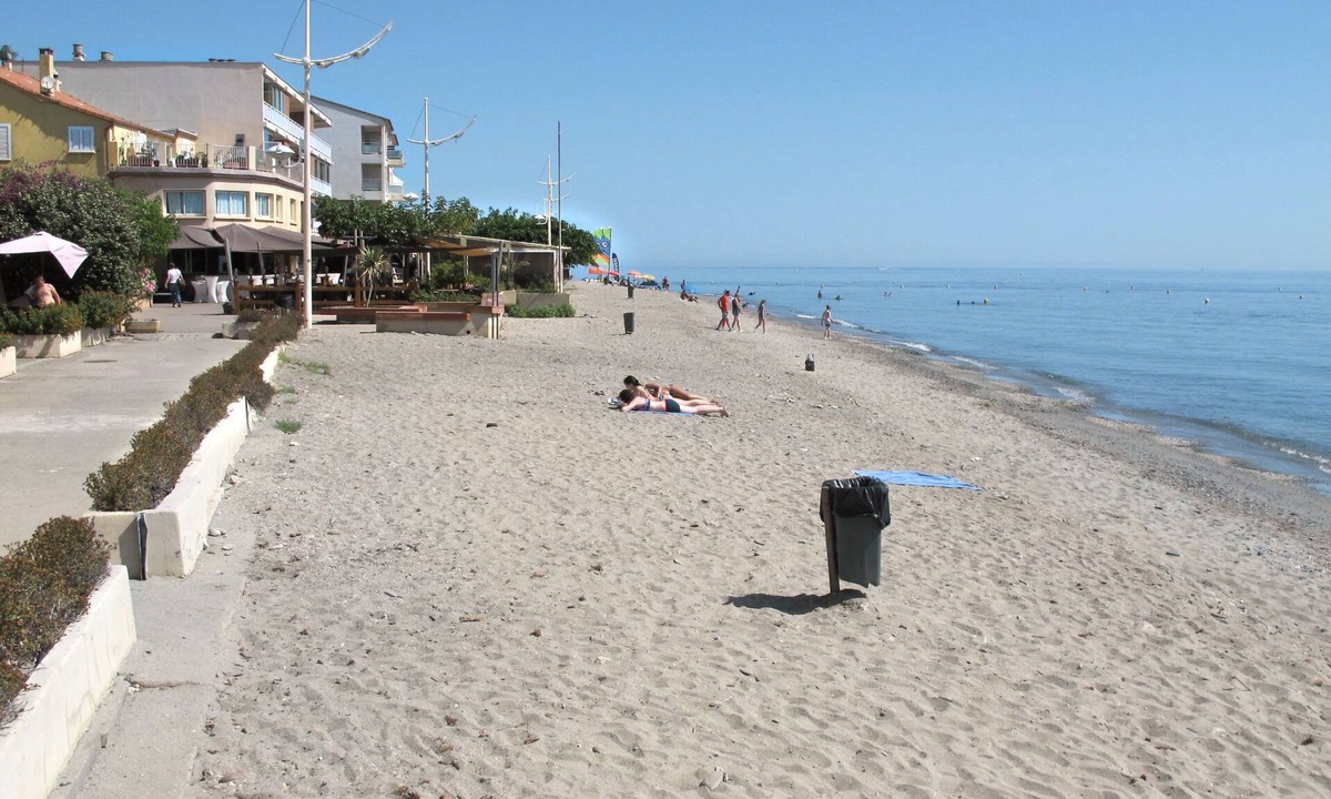 Dami | Santa-Lucia-di-Moriani