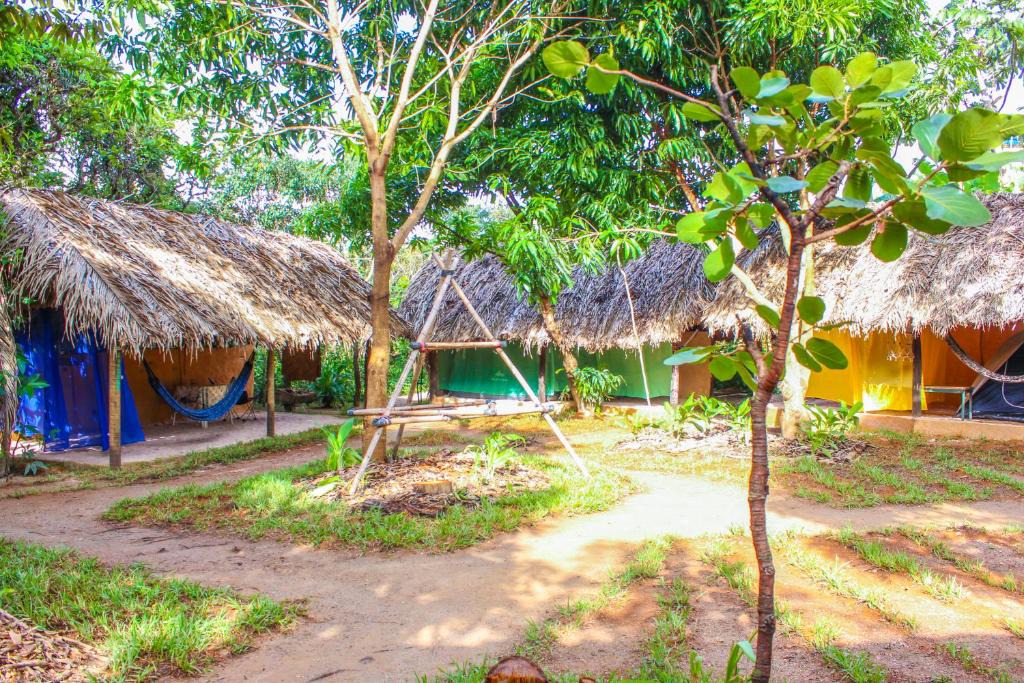 Canto Da Coruja | Sao Jorge