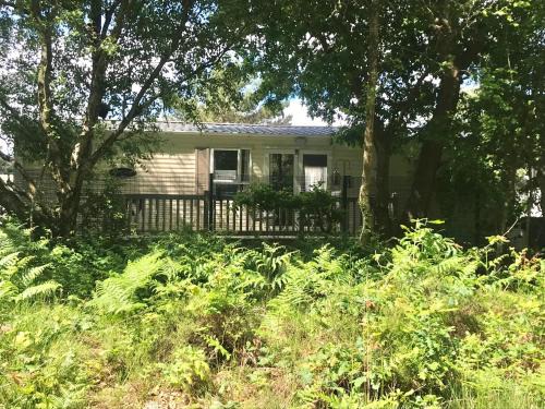 Oakdene Forest Park | Ringwood