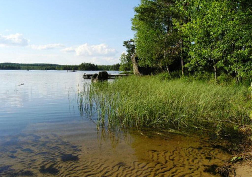 Pynnölänniemi | Konnevesi