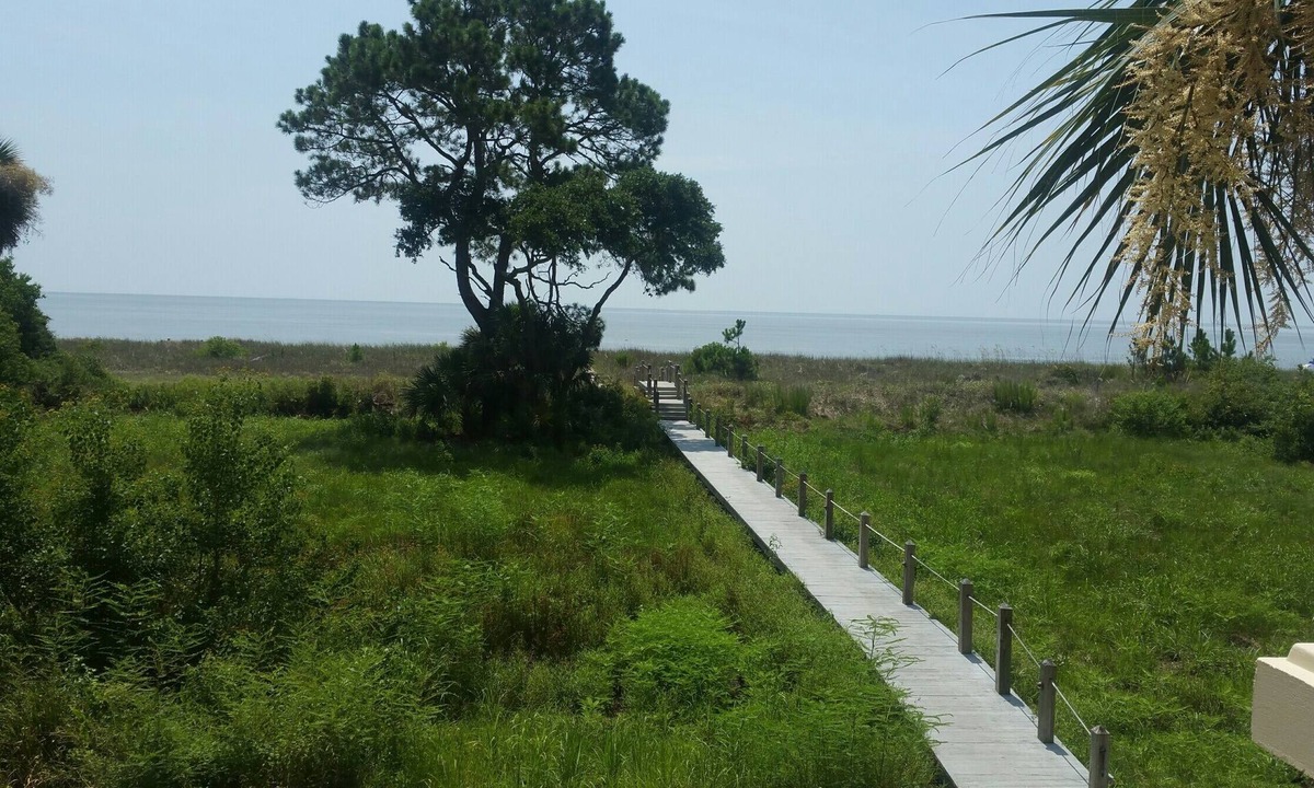 Land Transportation | Daufuskie Island