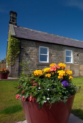 Inglenook Cottage | Wandylaw