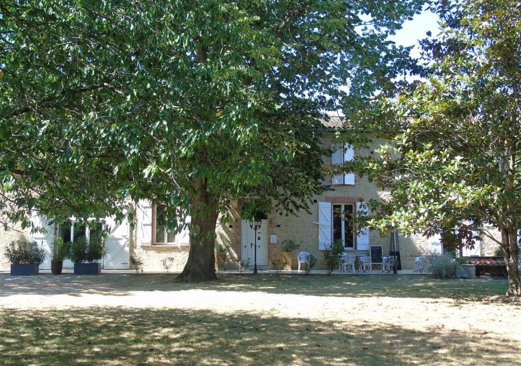 Negra | Montesquieu-Lauragais