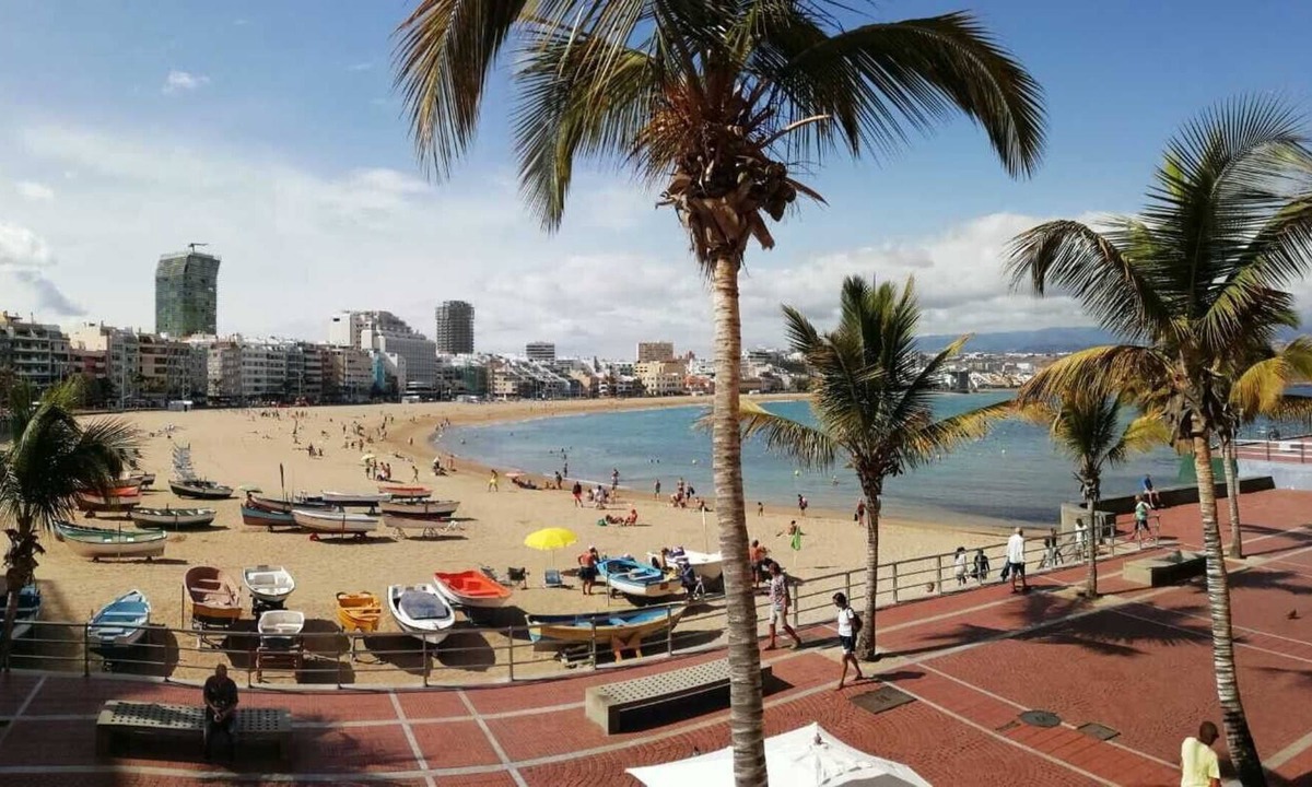 Mariposa Blanca | Las Palmas de Gran Canaria
