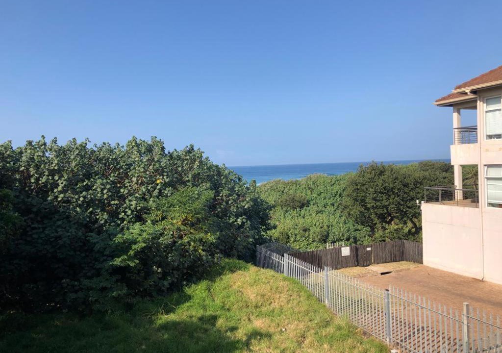 Mystique No | Shelly Beach