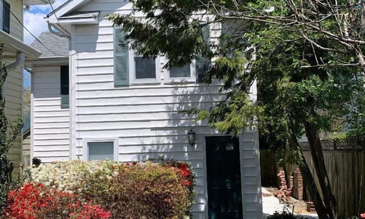 Olive Rehoboth Beach | Rehoboth Beach