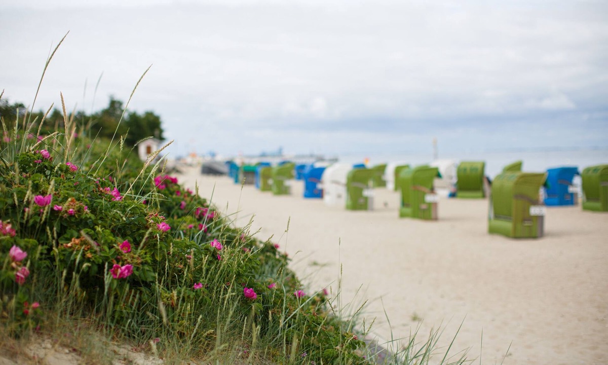 Wyk Zentrum | Wyk auf Foehr