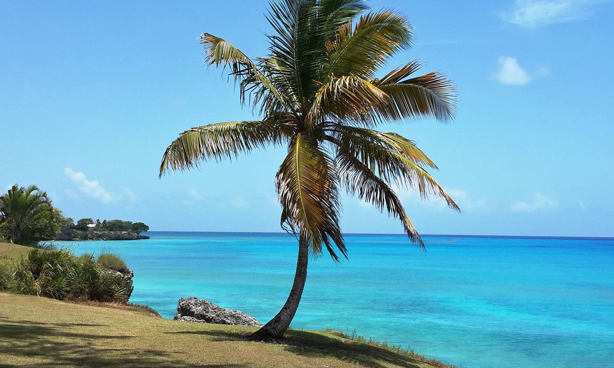 Sea Freight Bay Beach | Enterprise