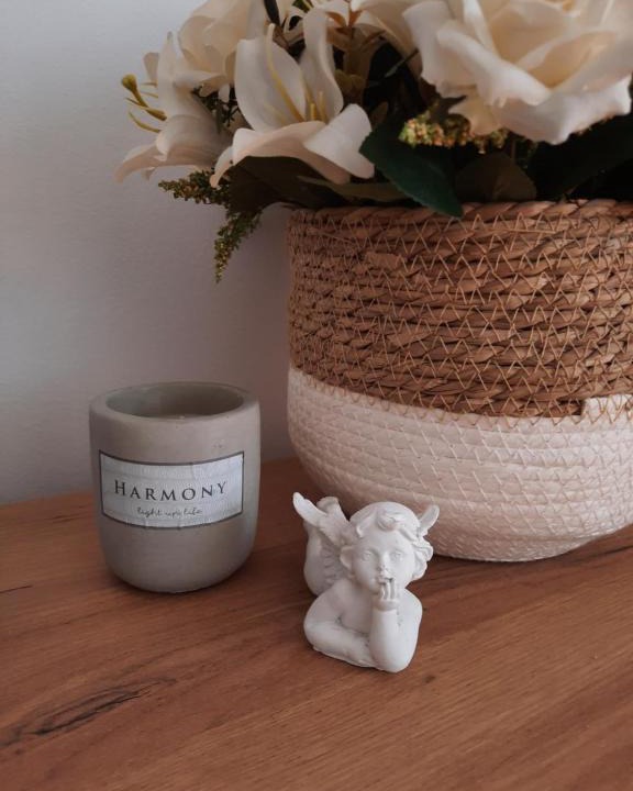 Stan Dan Dunja | Vrsac