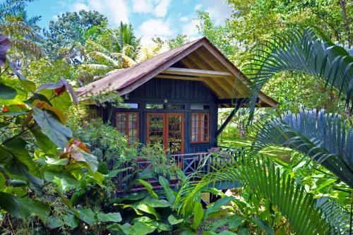 The Palms Resort Adults All | Orange Bay