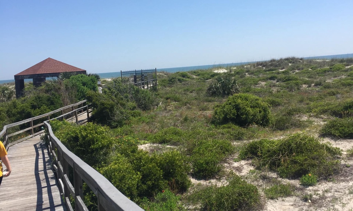 Hibiscus | Butler Beach