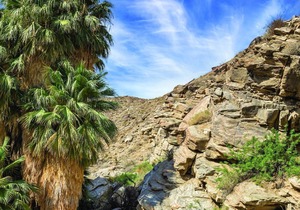 1,200-acre outdoors and fun in the sun!