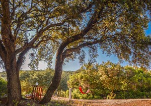 1 bedroom accommodation in Estepa