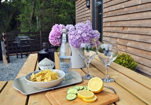 1 bedroom accommodation in Cwm-Cewydd, near Machynlleth