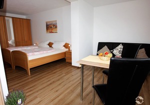 1-Zimmer-Apartment (Nr. 8)