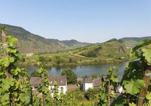 100 m² Apartment ∙ 3 bedrooms ∙ 5 guests