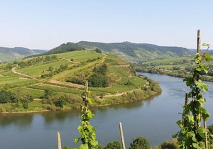 100 m² Apartment ∙ 3 bedrooms ∙ 5 guests