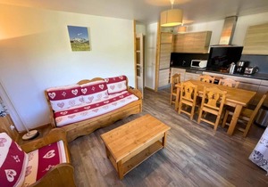 10m from ski slopes, floor -1, balcony, tv, ski locker, 45m², Les Menuires