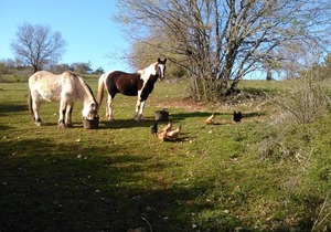 12 m² Hotel ∙ 1 bedroom ∙ 2 guests