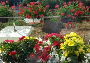 120 m² Apartment ∙ 2 bedrooms ∙ 5 guests