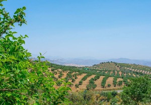 150 m² House ∙ 4 bedrooms ∙ 8 guests