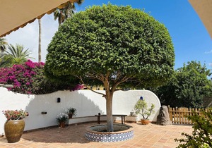 159 m² Accommodation ∙ 2 bedrooms ∙ 5 guests