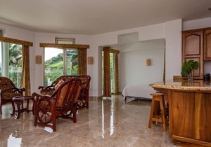 1B/1B POOL/SPECTACULAR LAKE ARENAL VIEWS!