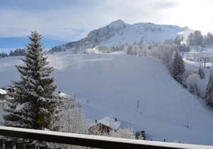 1st floor, balcony, parking, tv, ski locker, 24m², Le Grand Bornand