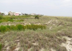 1st FLOOR CONDO, SLEEPS 2. PRIVATE WIFI. 50" SMART TV