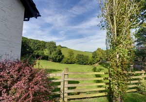 2 Derw Cottages - Two Bedroom House, Sleeps 4