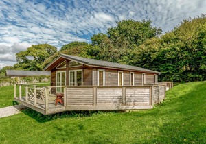 2 Hedgerows, Looe
