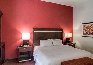 2-Star Hotel ∙ Hampton Inn & Suites Detroit/Airport Romulus