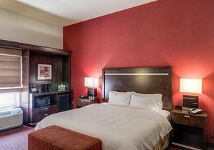 2-Star Hotel ∙ Hampton Inn & Suites Detroit/Airport Romulus