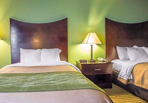 2-Star Hotel ∙ Quality Inn Mill Hall - Lamar