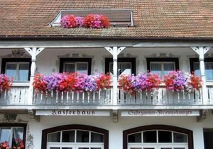 2-Zimmer-Wohnung "Silberdistel", 75qm, 1 Schlafzimmer, max. 5 Personen