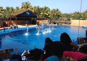 206 Tenbury Beach Apartment