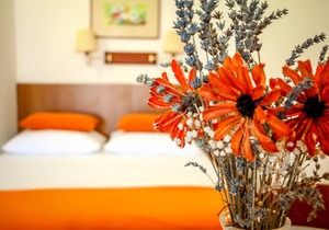 23 m² Studio flat ∙ 1 bedroom ∙ 3 guests