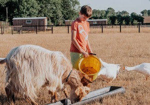 24 m² House ∙ 1 bedroom ∙ 4 guests