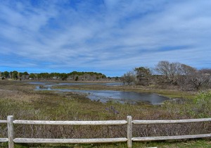 248/250 Loring- Adorable duplex 500 ft to the entrance of West Dennis Beach