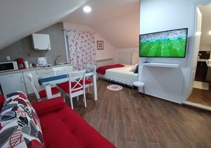 25 m² Studio flat ∙ 1 bedroom ∙ 2 guests