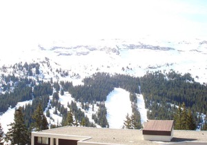 25 m² Studio flat ∙ 1 bedroom ∙ 4 guests