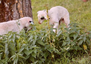 27 m² Hotel ∙ 1 bedroom ∙ 3 guests