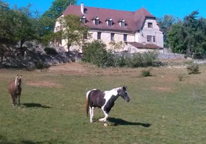 28 m² Hotel ∙ 1 bedroom ∙ 1 guest